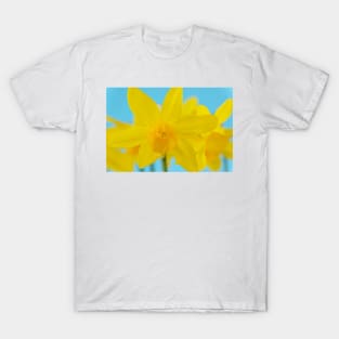 Narcissus  &#39;Puppet&#39;  Daffodil  Division 5  Triandrus T-Shirt